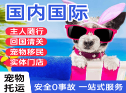 乌海机场托运国际宠物托运 【国